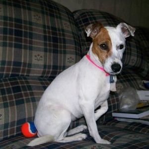 Meet your Posher, Alicia